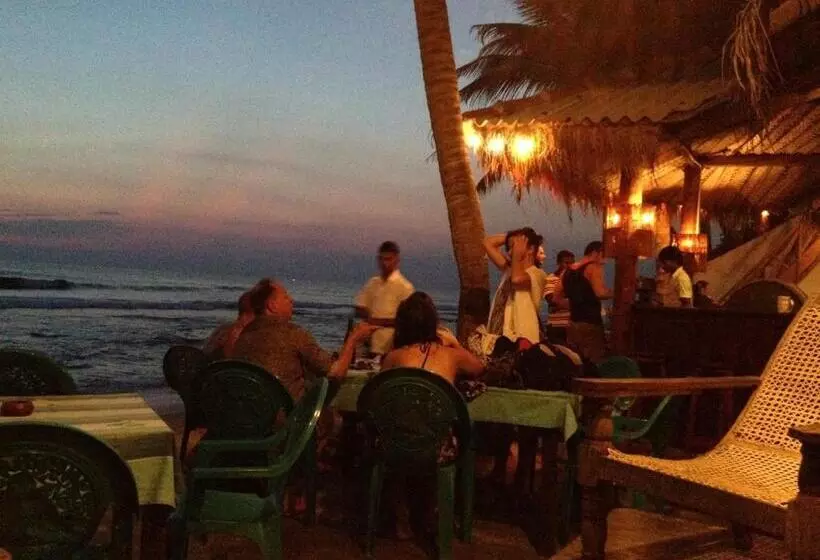 ペンション Why Not Guest House