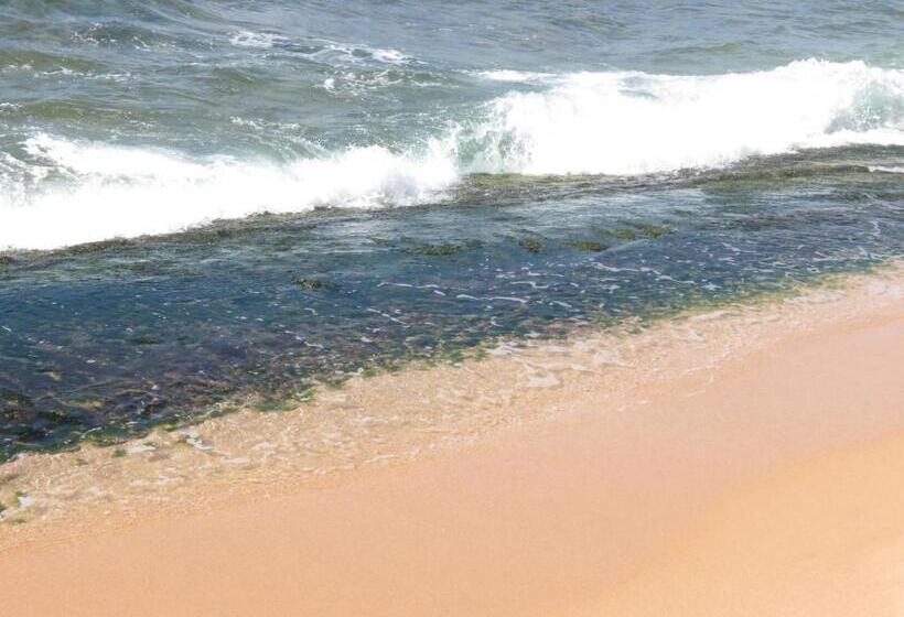 ペンション Why Not Guest House