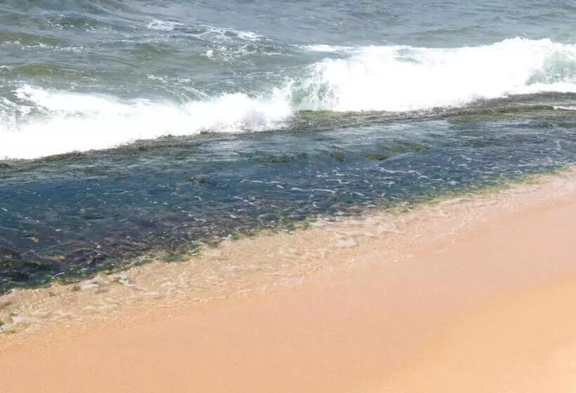 ペンション Why Not Guest House