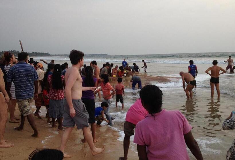 ペンション Why Not Guest House