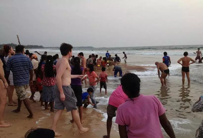 ペンション Why Not Guest House