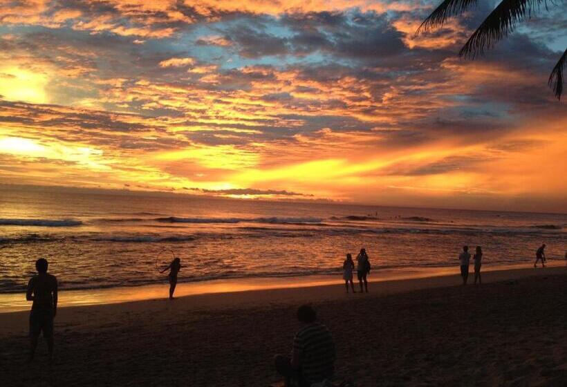 ペンション Why Not Guest House