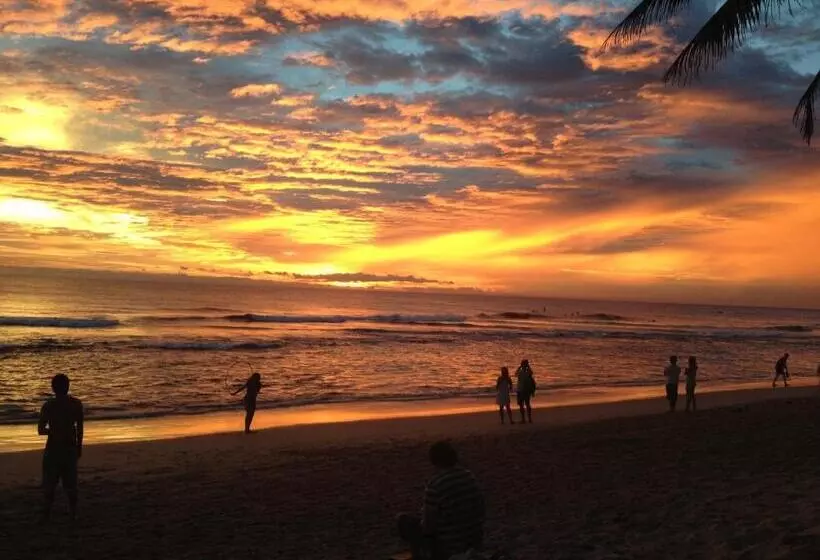 ペンション Why Not Guest House