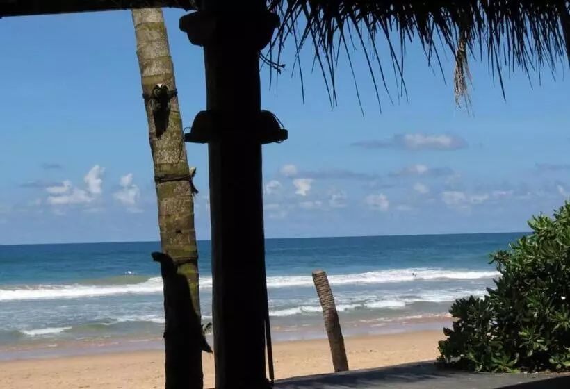 ペンション Why Not Guest House