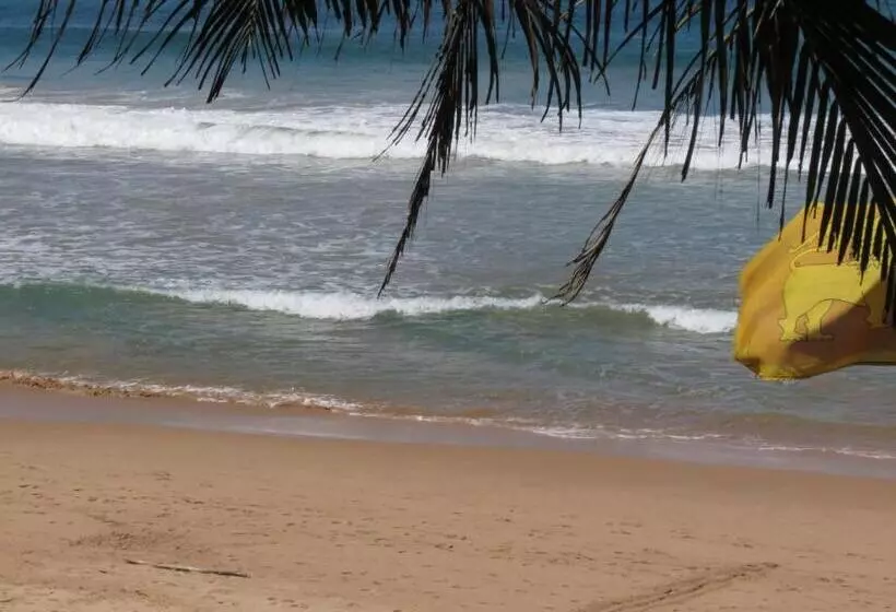 ペンション Why Not Guest House