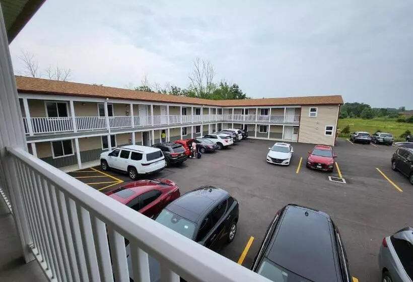 Stay Inn And Suites
