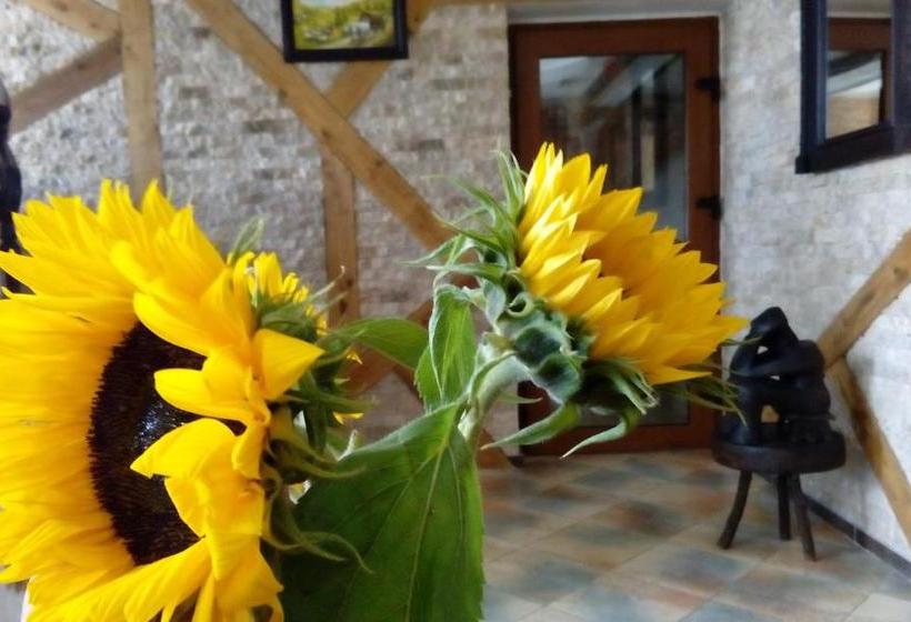 هاستل Hanul Cappsha