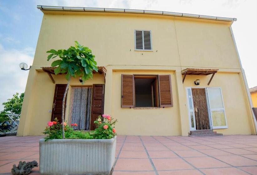 酒店 Agriturismo Greppo All Olivo