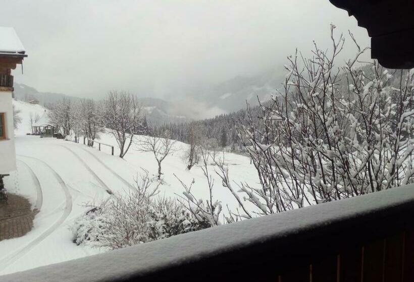 בית מלון כפרי Gsenghof