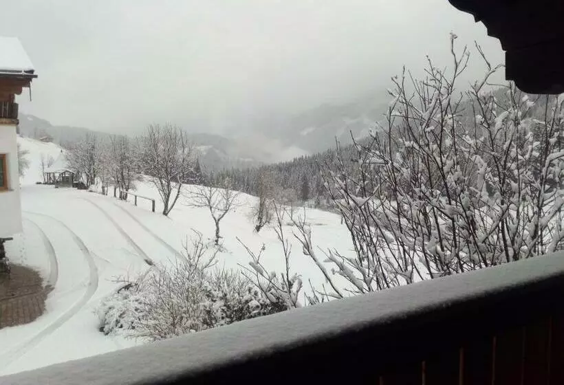 ホテル Gsenghof