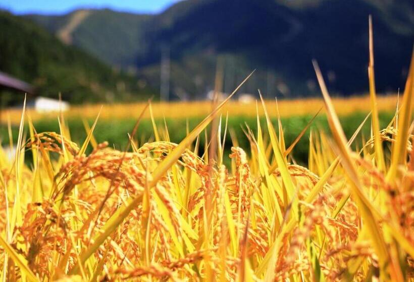 פנסיון Chouchinya