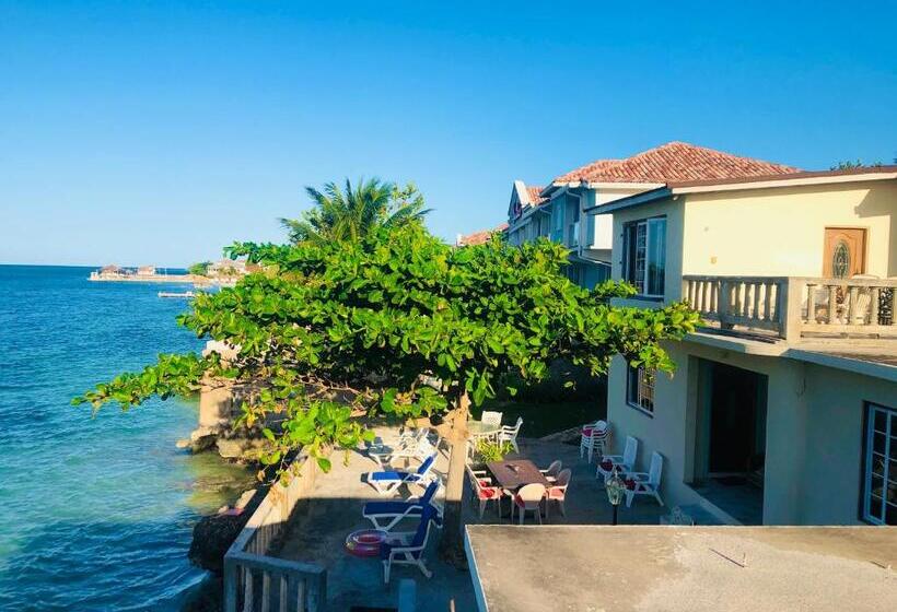 پانسیون Jamrock Secret Retreat