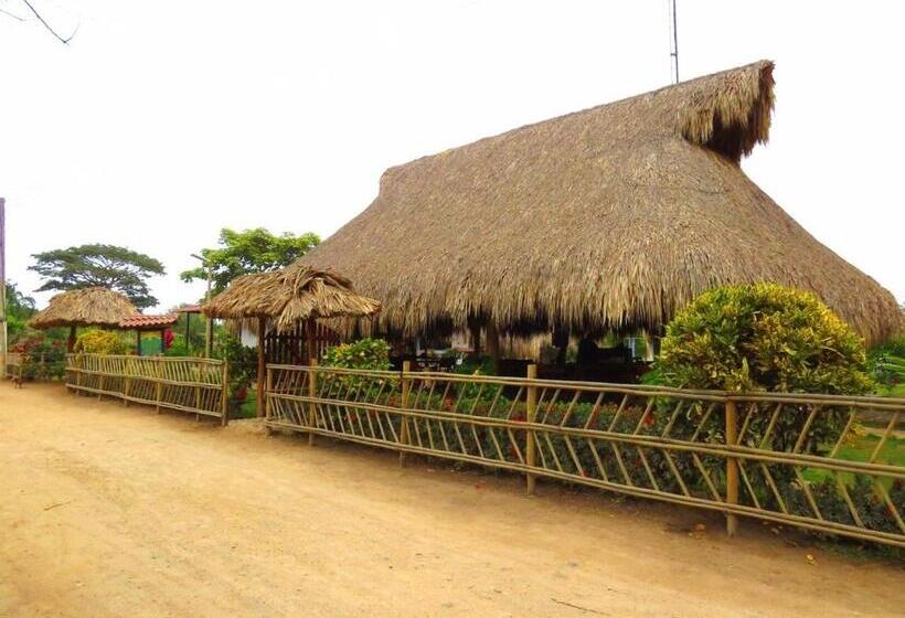 پانسیون Palomino Breeze Hostal