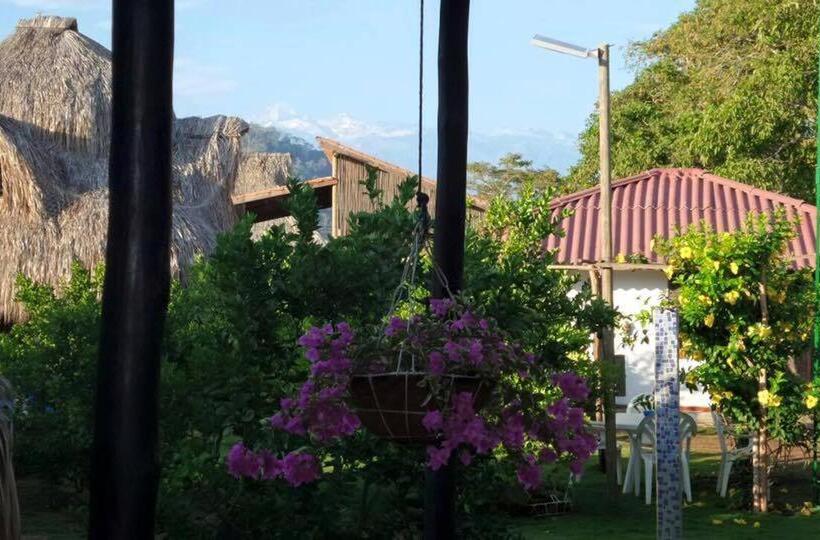 پانسیون Palomino Breeze Hostal