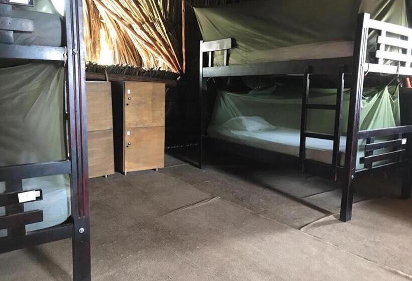 پانسیون Palomino Breeze Hostal