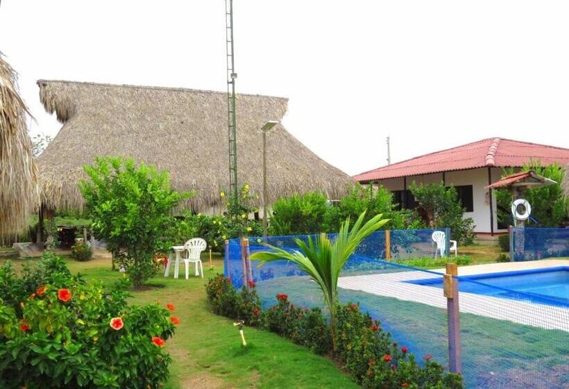 پانسیون Palomino Breeze Hostal