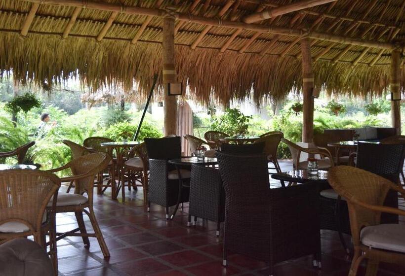 پانسیون Palomino Breeze Hostal