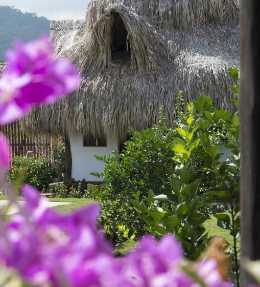 پانسیون Palomino Breeze Hostal