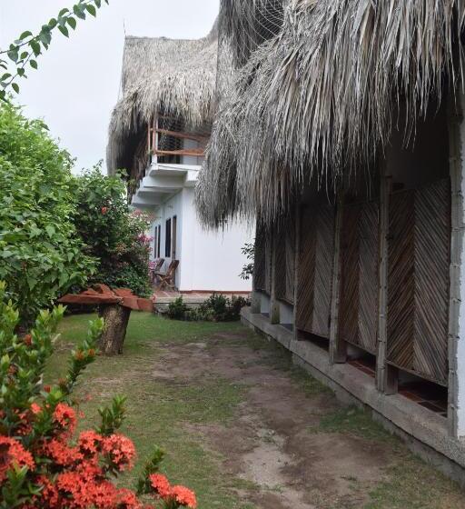 پانسیون Palomino Breeze Hostal