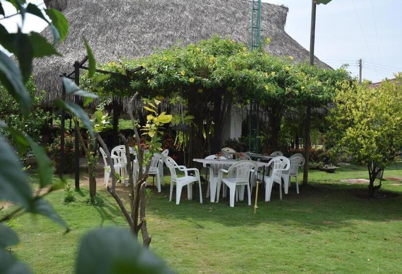 پانسیون Palomino Breeze Hostal