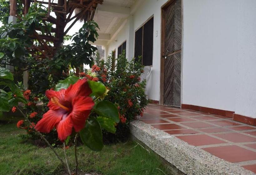 پانسیون Palomino Breeze Hostal