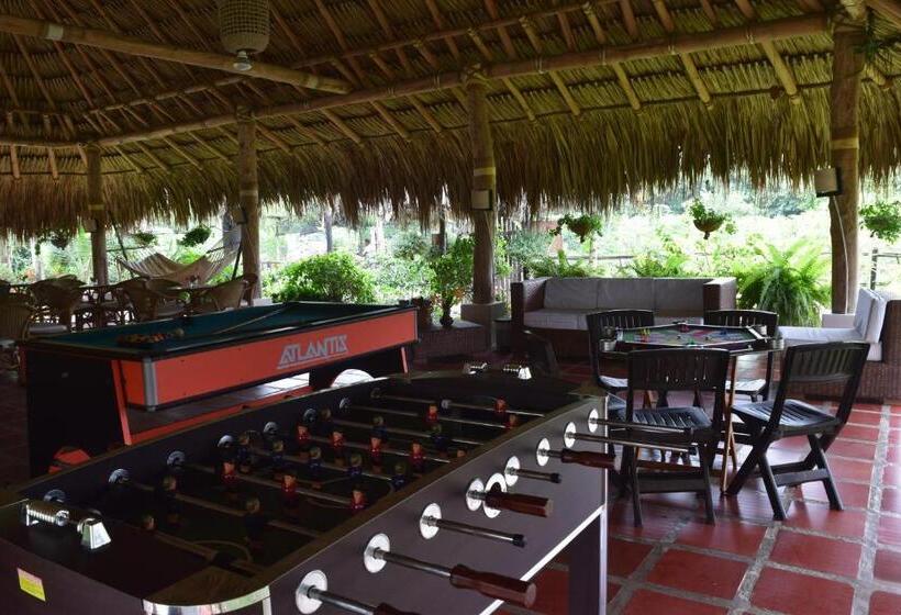 پانسیون Palomino Breeze Hostal