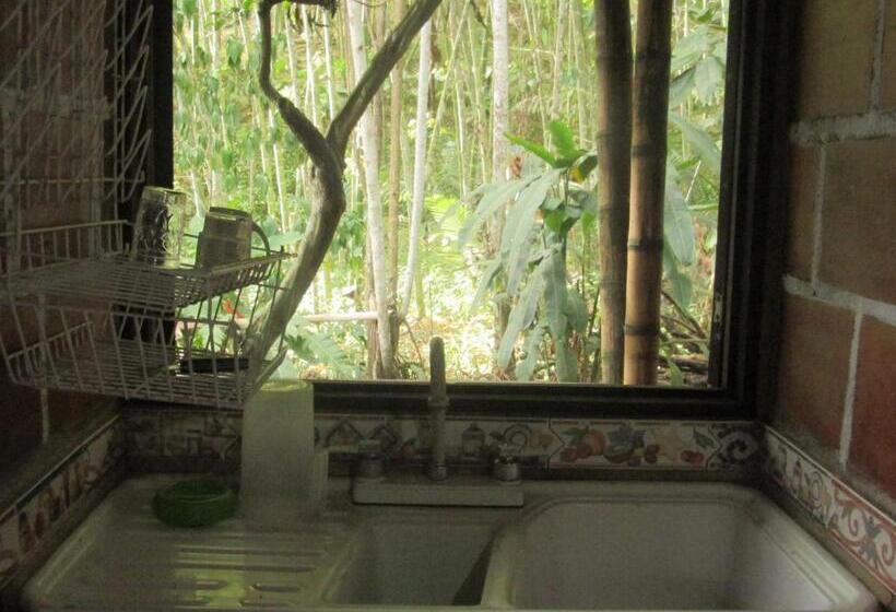 Hostel La Posada Del Cucú