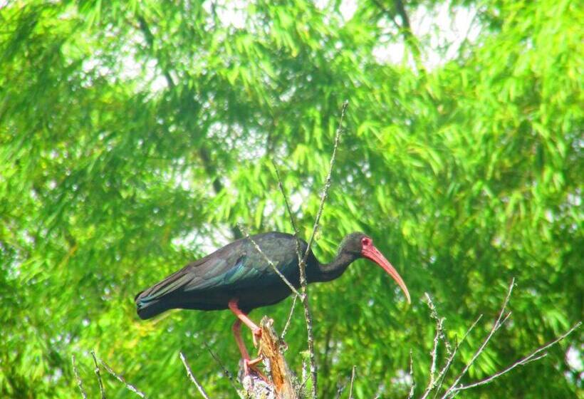 Hostel La Posada Del Cucú