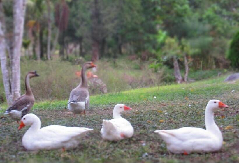 Hostel La Posada Del Cucú