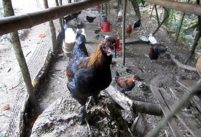 Hostel La Posada Del Cucú