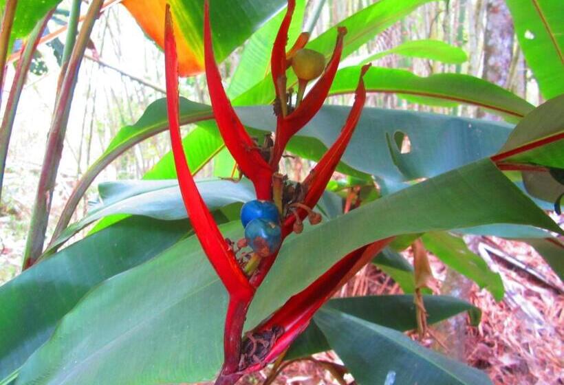 Hostel La Posada Del Cucú