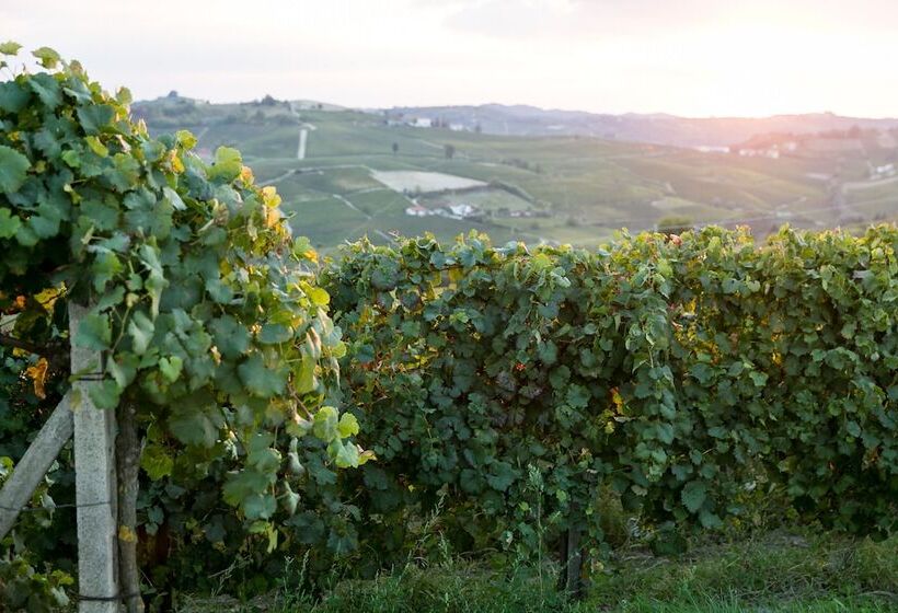 בית מלון כפרי Monteverde