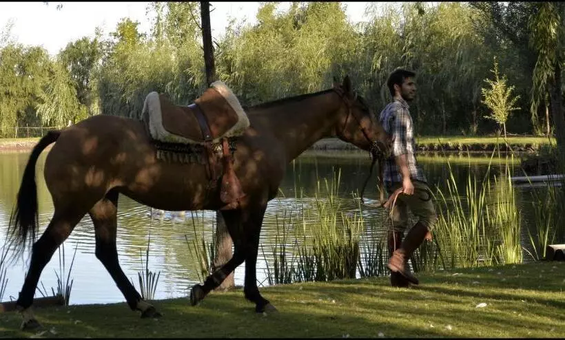 ユースホステル Caminos De Uco   Posada De Campo