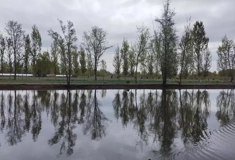 ユースホステル Caminos De Uco   Posada De Campo