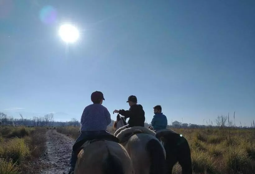 ユースホステル Caminos De Uco   Posada De Campo