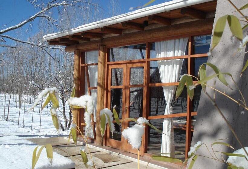 فندق صغير Caminos De Uco Posada De Campo