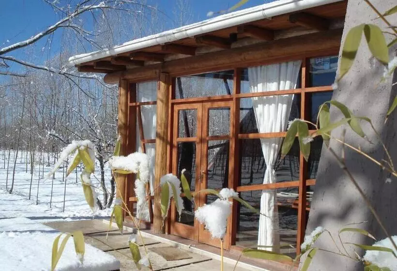 ユースホステル Caminos De Uco   Posada De Campo