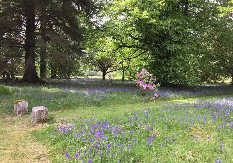 ペンション Melfort House