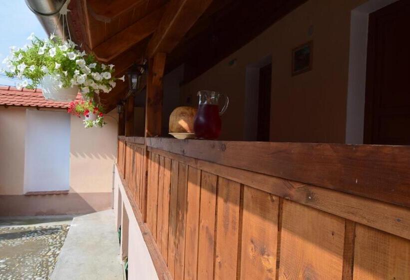 هتل Casa Saseasca