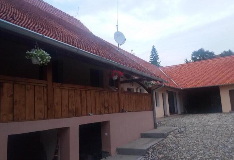 هتل Casa Saseasca