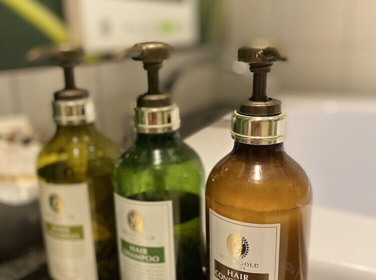 בית מלון כפרי Venus Neo