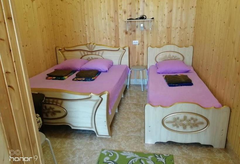 پانسیون Orhidea Guest House