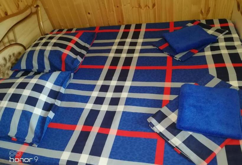 پانسیون Orhidea Guest House