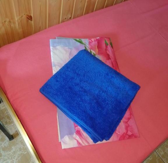 پانسیون Orhidea Guest House