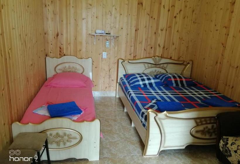 پانسیون Orhidea Guest House