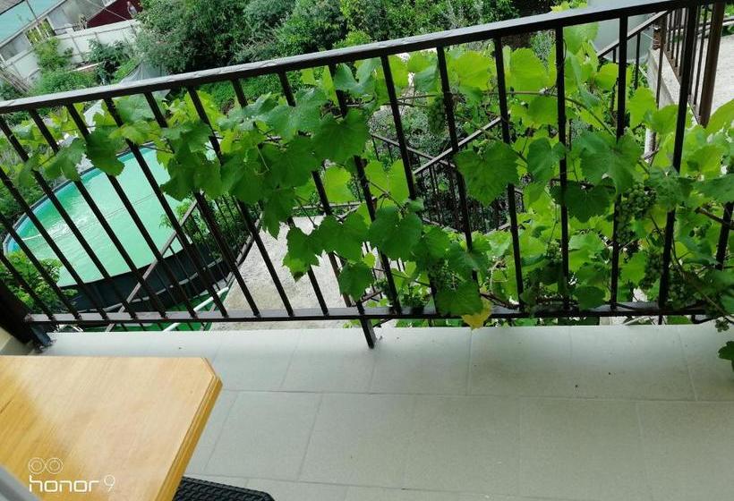 پانسیون Orhidea Guest House