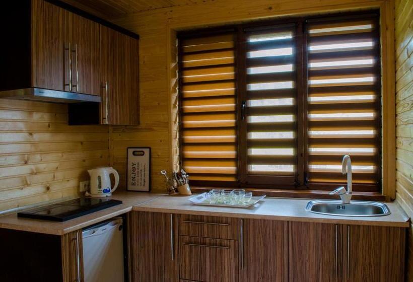 بنسيون Svitlana