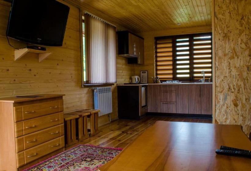 بنسيون Svitlana