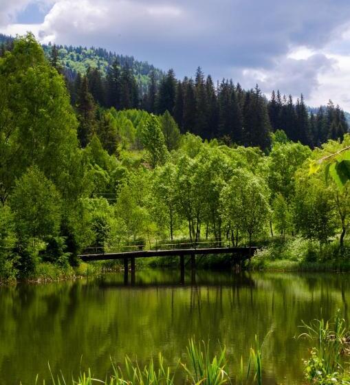 بنسيون Svitlana