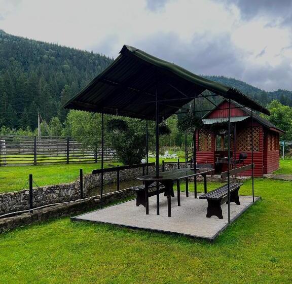 بنسيون Svitlana